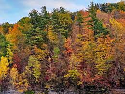 Image result for $$fall_akte__ort$$