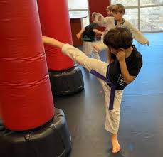 Image result for Martial Arts University Charlotte