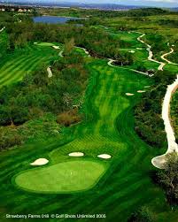 Image result for Strawberry Hill Golf Club