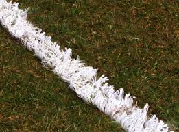 Image result for Pitch marking blog