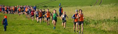 Image result for Ipswich Jaffa Athletics Club