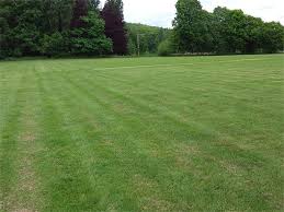 Image result for Alne Cricket Club