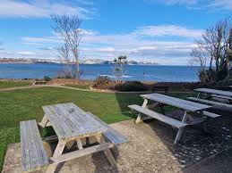 Image result for Paignton Sea Anglers Association