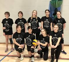 Image result for Welwyn Badminton Club