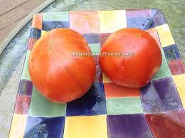 Afbeeldingsresultaat voor kosmonaut volkov 68D tomato