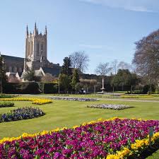 Image result for Bury St Edmund Shuttlers