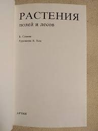 Image result for Богумил второй