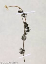 Attēlu rezultāti vaicājumam “Batrachium circinatum flower”