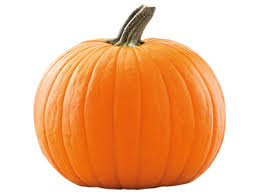 Image result for Kürbis