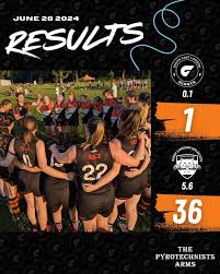 Image result for West London Wildcats