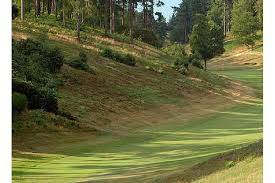 Image result for Hindhead Golf Club
