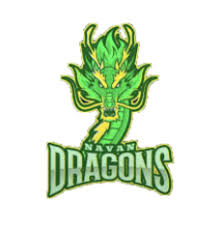 Image result for Dragons Softball Club