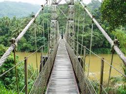 Image result for шри ланка королевский ботанический сад