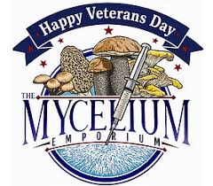 Attēlu rezultāti vaicājumam “Cordyceps farinosa”