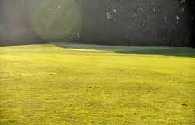 Image result for Lydney Scrabble Club