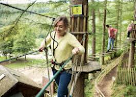 Image result for Go Ape! Whinlatter