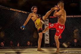 Image result for St Neots Muay Thai