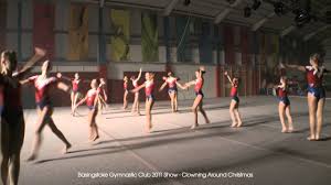 Image result for Basingstoke Gymnastics Club