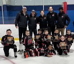 Image result for Demons Skater Hockey Club