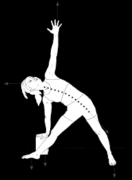 Image result for body midline