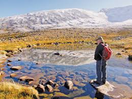 Image result for Scottish Rocks