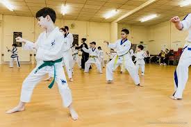 Image result for Bytomic Taekwondo