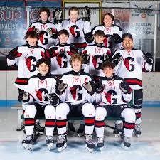 Image result for Demons Skater Hockey Club