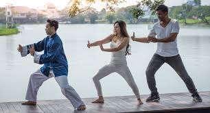 Image result for Wushu Tai Chi Club