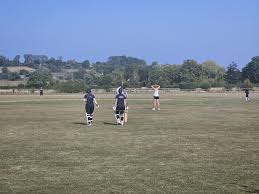 Image result for Buckhorn Weston Cricket Club