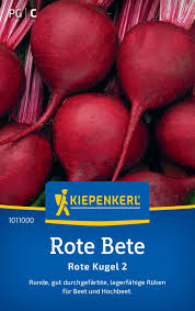 Image result for rote Bete