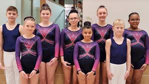 Image result for Phoenix Gymnastics Club