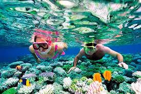 Image result for Ruislip Snorkelling Club