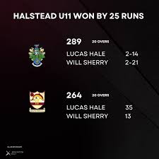 Image result for Halstead Colts Cricket Club