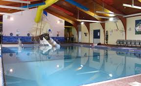 Image result for Haywards Heath Swimming Club