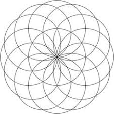 Image result for life flower