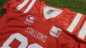 Image result for Staffordshire Stallions