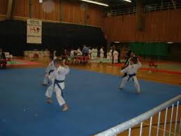 Image result for Thatcham Wado Karate Club