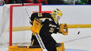 Image result for Ice Hockey International