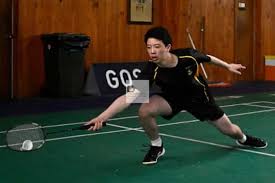 Image result for Wellington (Crowthorne) Badminton Club