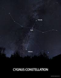 Attēlu rezultāti vaicājumam “Cygnus”