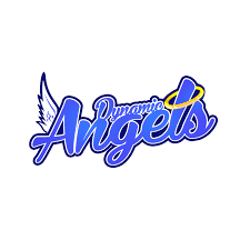 Image result for Angels Dance Squad