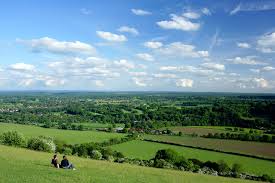 Image result for Box Hill SC