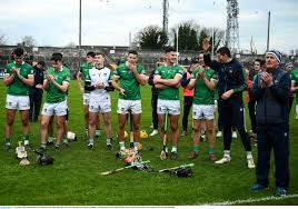Image result for University Of Limerick Gaa Hurling Club