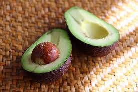 「アボカド大臣」の画像検索結果