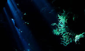 Image result for Harlow Sub-Aqua Club