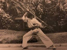 Image result for Silat Pd (Perisai Diri) UK