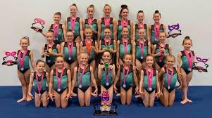 Image result for Wiltshire School Of Gymnastics