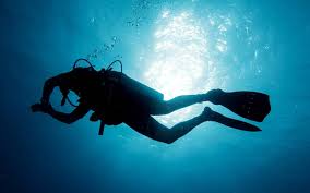 Image result for Deep Blue Diving