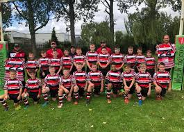 Image result for Pontypool United R F C