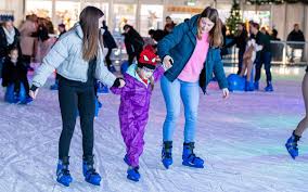 Image result for Milton Keynes Ice Skating Club